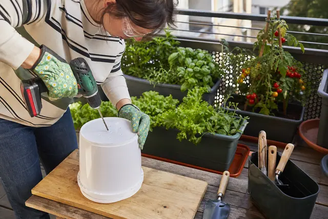 Préparation d’un seau récupéré percé pour cultiver sur un petit balcon.