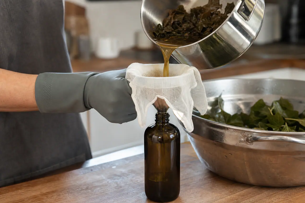 Filtration d’une décoction de lierre dans une bouteille pour faire une lessive maison.