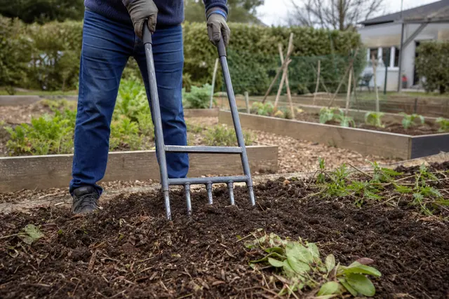 Jardinier ameublissant une planche de potager avec une grelinette dans un jardin.