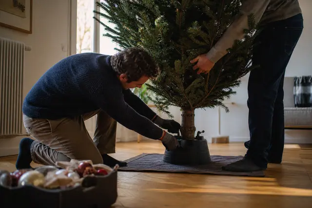 Installation d’un sapin nordmann dans un pied à réserve d’eau