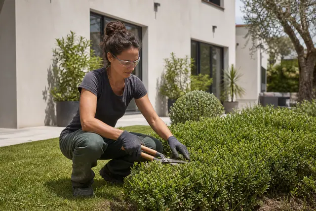 Jardinière équipée taillant une haie basse dans un jardin de maison.