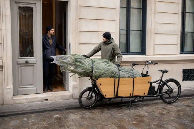 Sapin de Noël fileté posé dans un vélo cargo devant un immeuble.