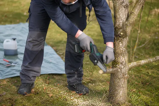 Jardinier protégé coupant une petite branche avec une mini tronçonneuse sur batterie.