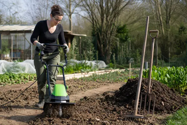 Jardinière utilisant une motobineuse électrique sur une terre de potager ressuyée.